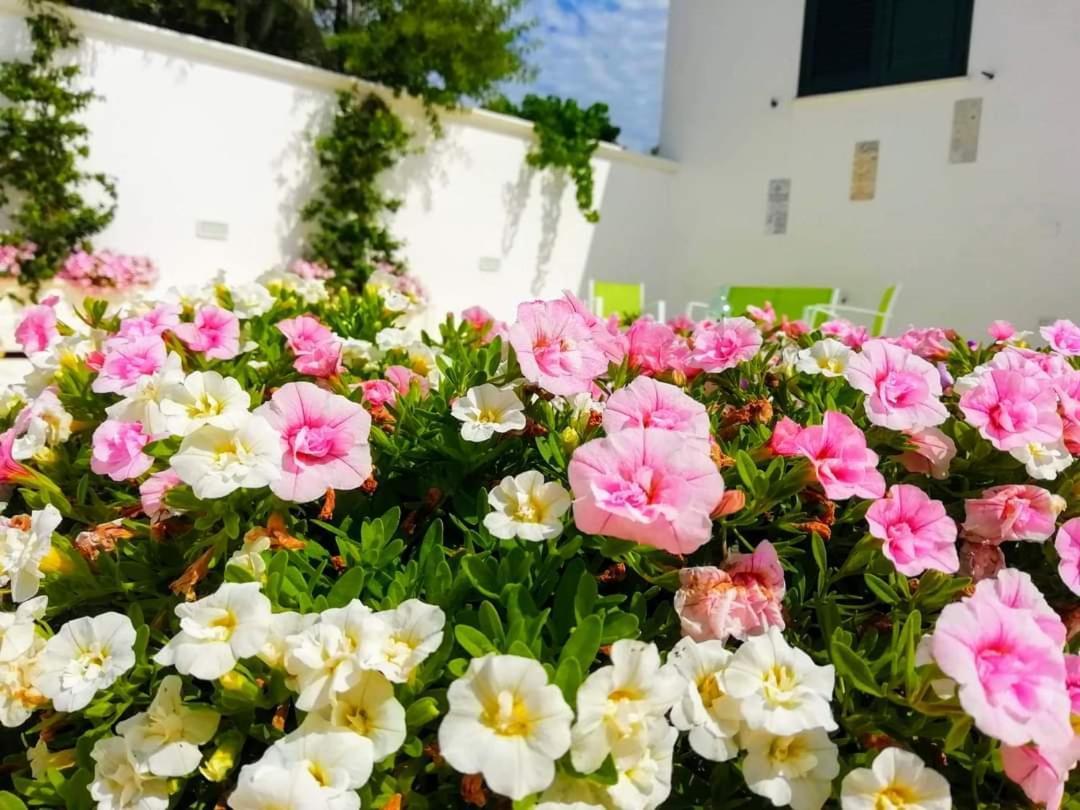 B&B Sole Mare Vento Маруджо Экстерьер фото